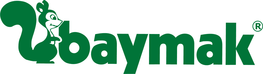 Boiler Logo 4